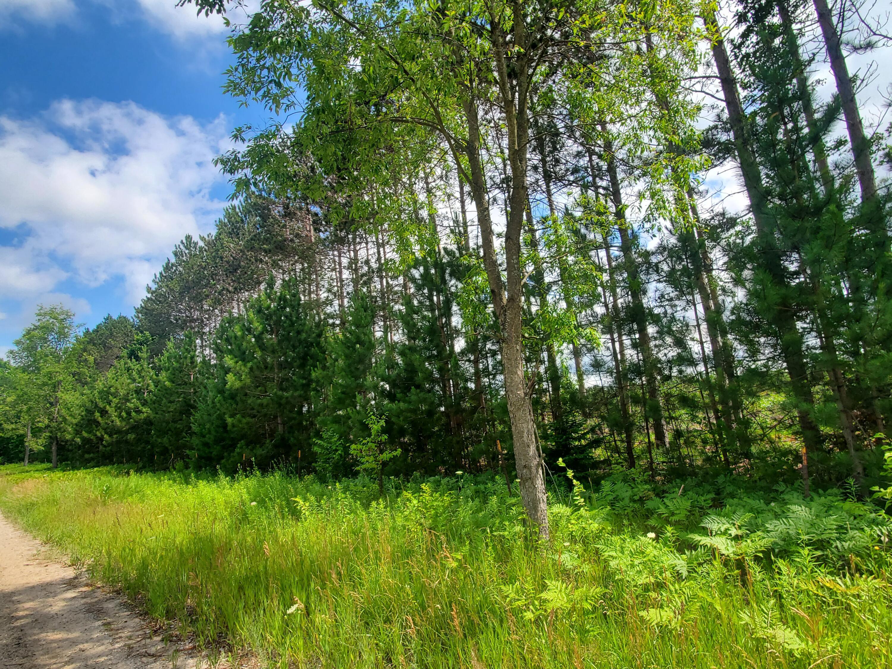 Property Photo:  80 Acres Beall Road  MI 49614 