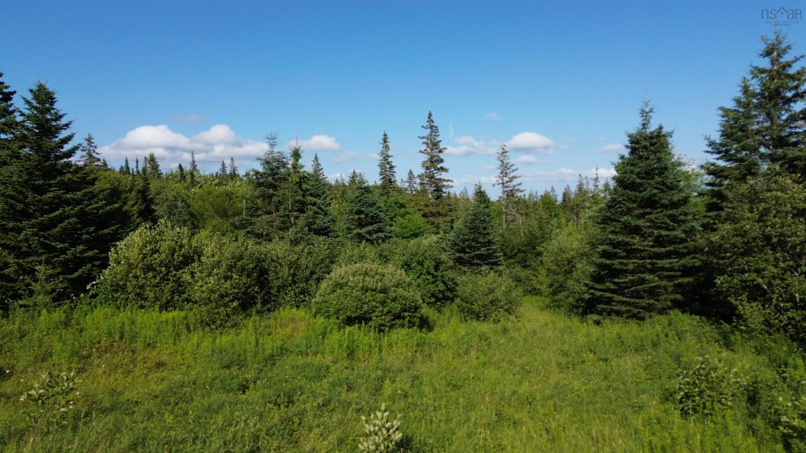 Property Photo:  Black River Road  NS B0E 1V0 