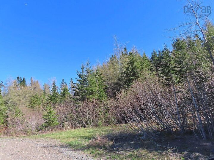 Property Photo:  Lot 3 Rear Big Cove Road  NS B0E 3B0 
