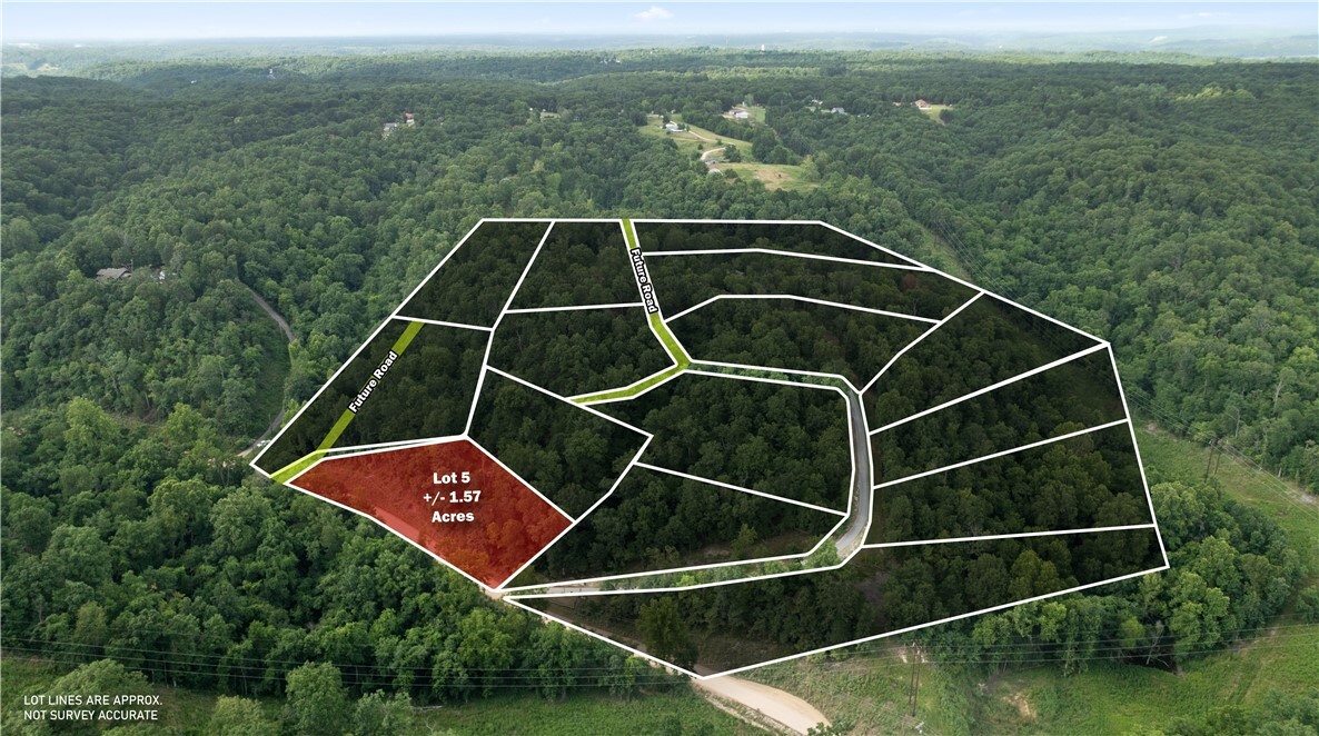 Esculapia Hollow Road Lot 5  Rogers AR 72758 photo