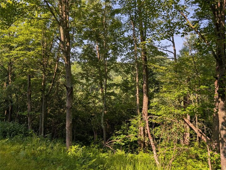 Property Photo: Xxx Dock Lake Road WI 54801