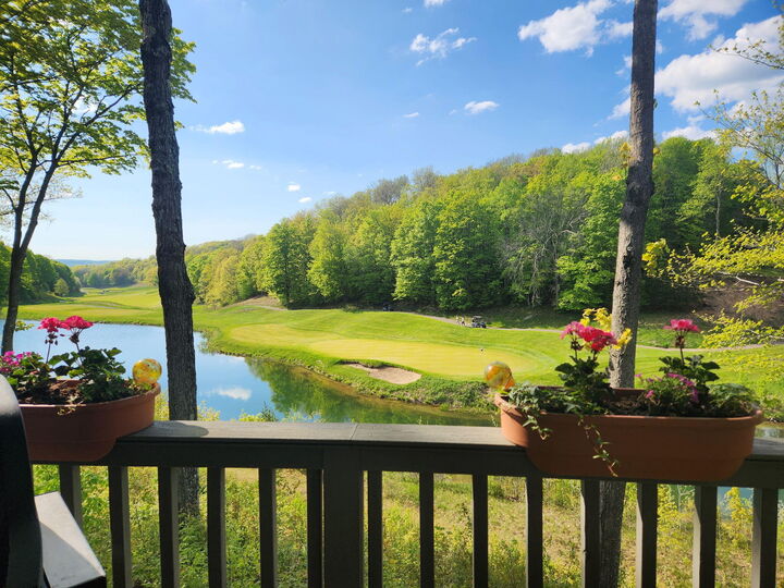 Property Photo: 4600 Fazio Drive MI 49735