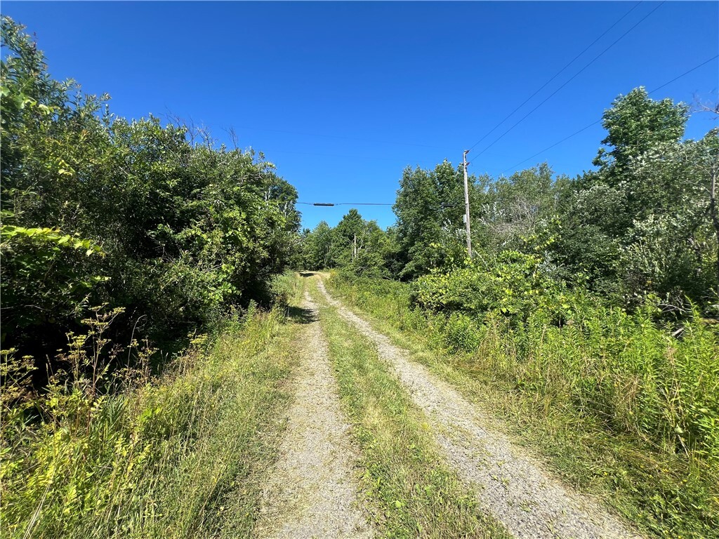 3843 Pre-Emption Road  Tyrone NY 14891 photo