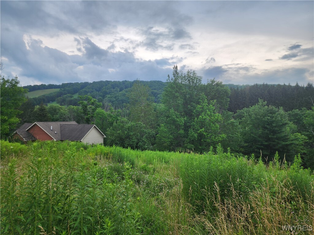 Property Photo: 6843 Springs Road NY 14731