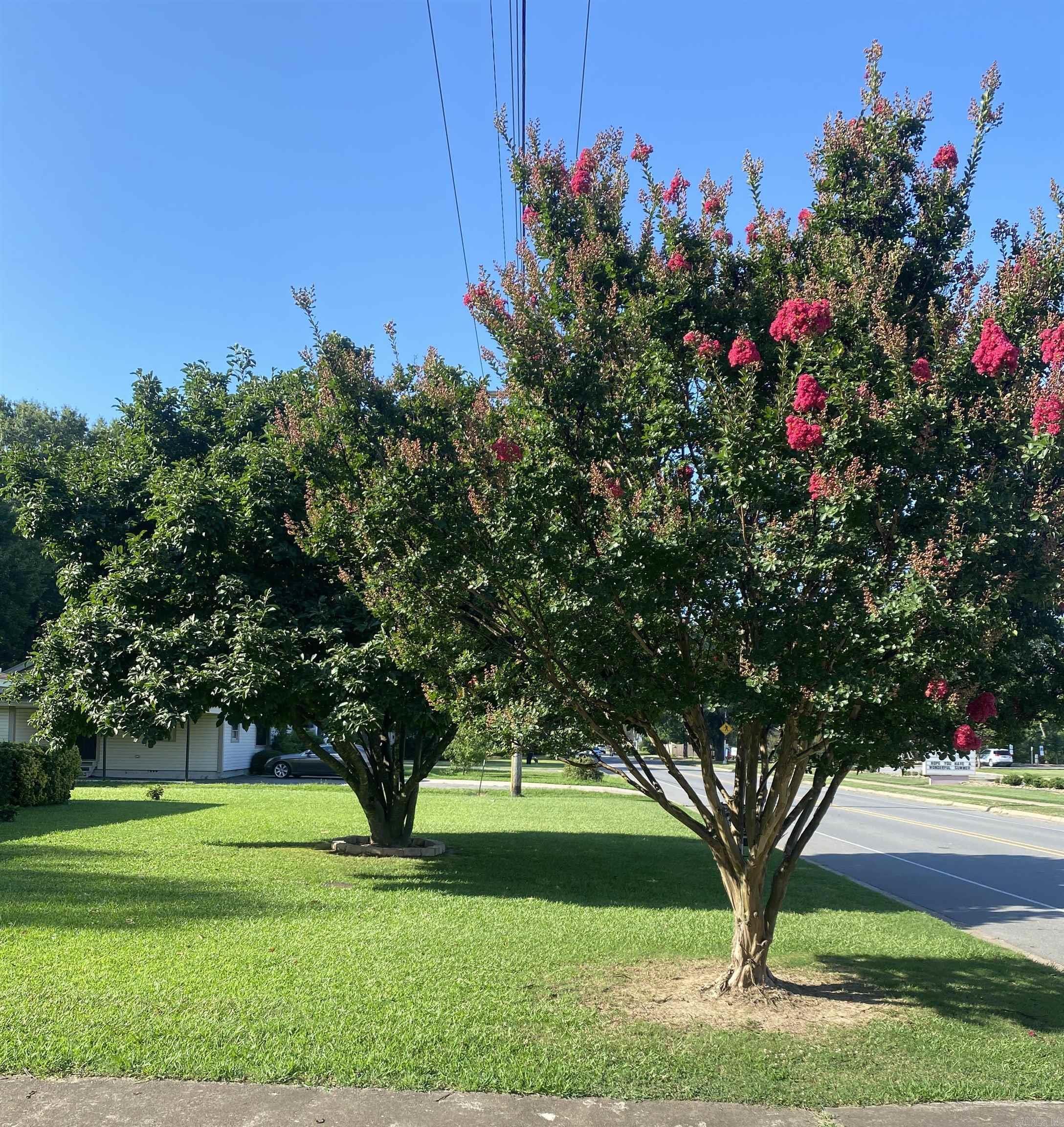 Property Photo:  1212 Donaghey Ave.  AR 72034 