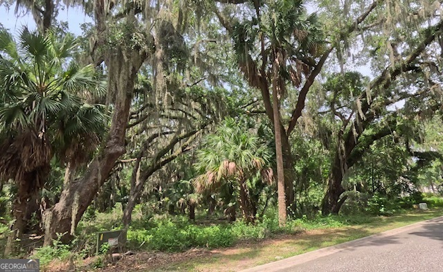 919 Wagner Lane  St. Marys GA 31558 photo