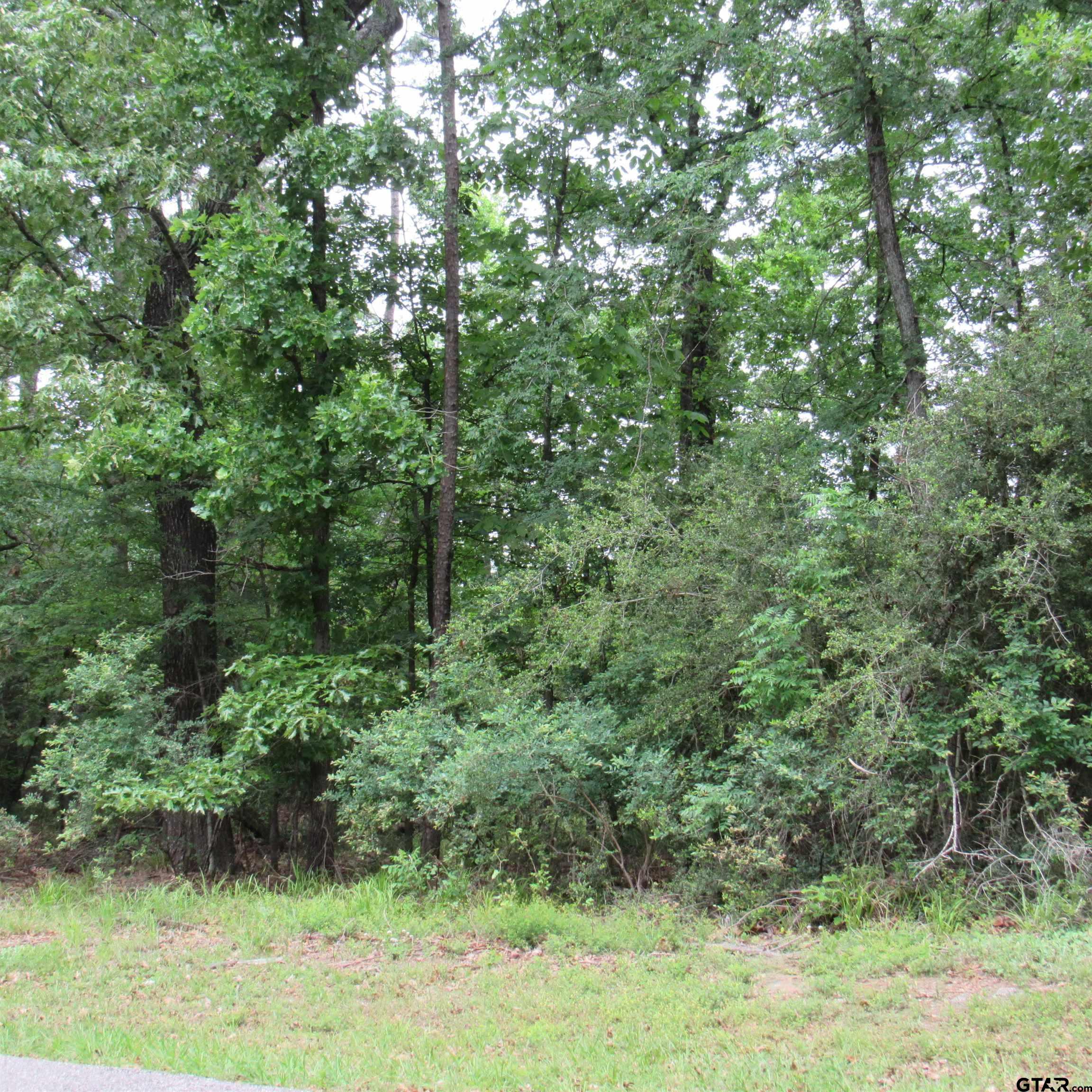 Property Photo: Tbd Rolling Ridge TX 75765