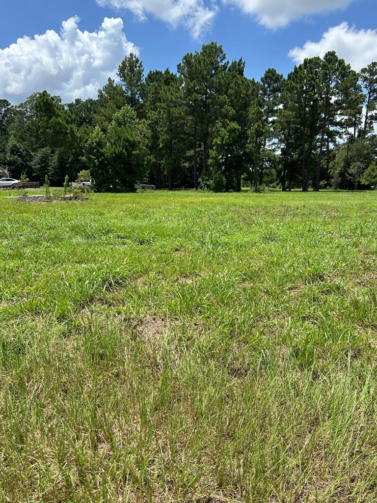 Property Photo: R143749(Lot26) Dena Kay Drive TX 74904