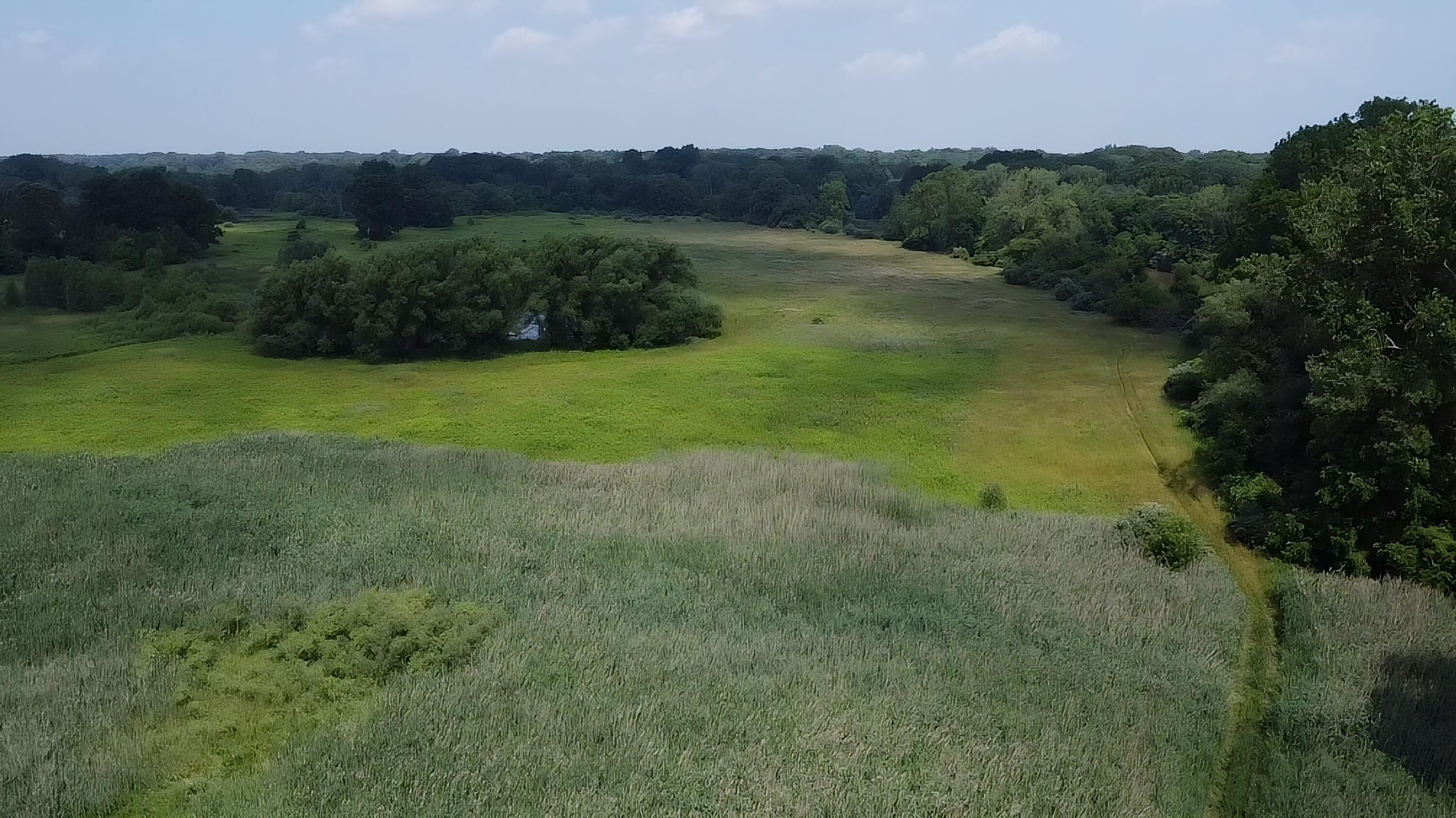 Property Photo: 3345 Beach Road MI 48060