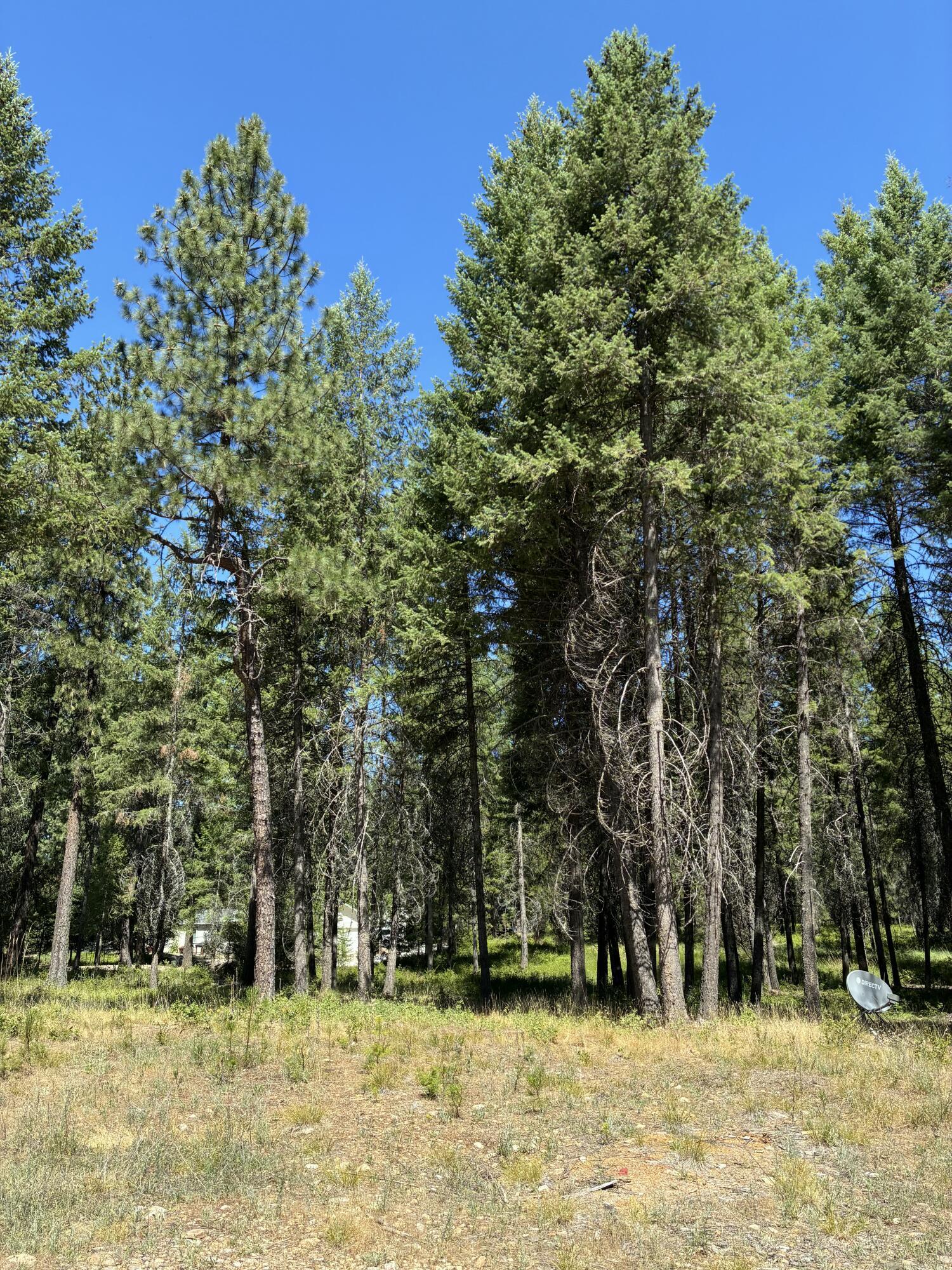 Property Photo: 3741 N Deer Lake Rd WA 99148