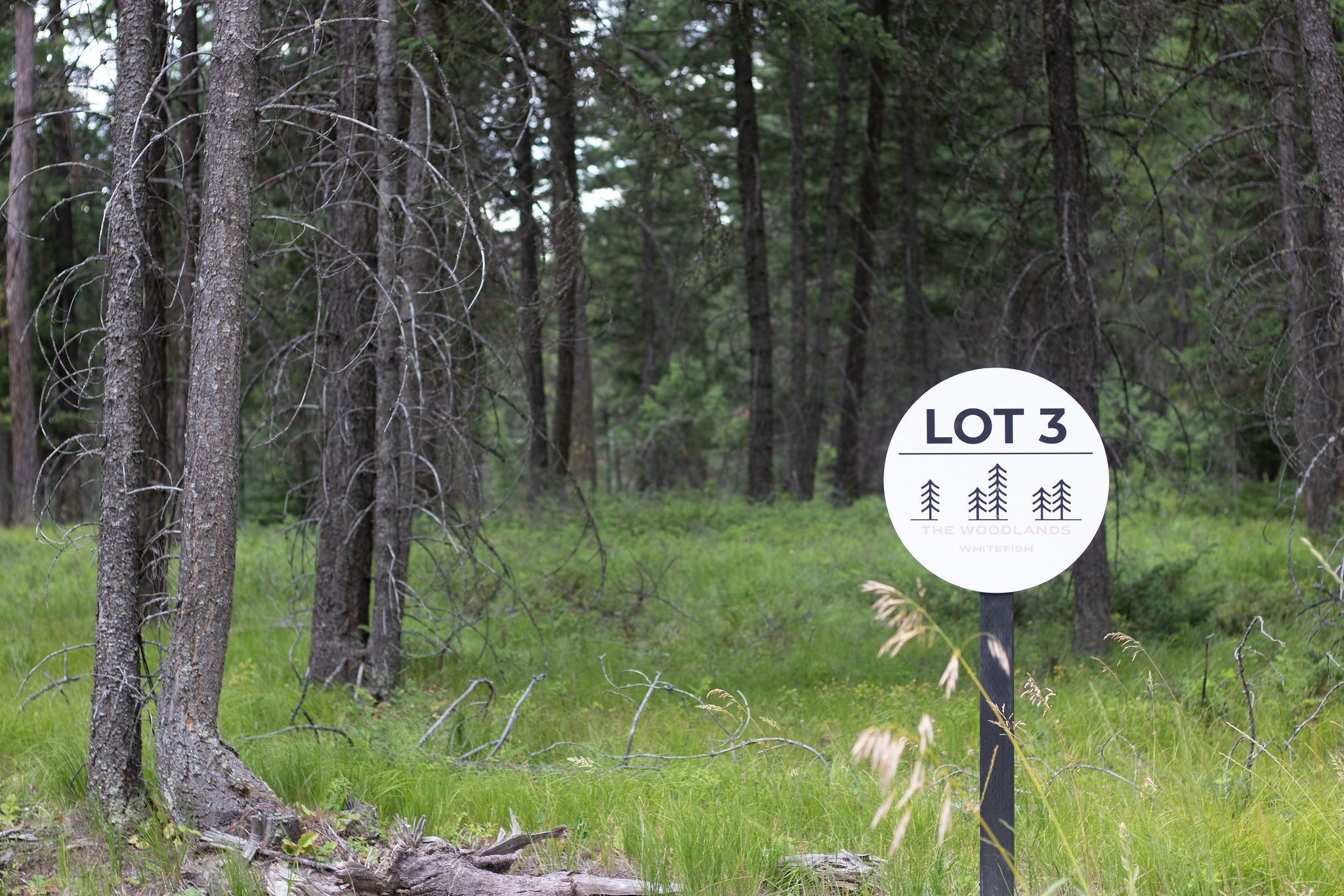 Property Photo:  316 Sandalwood Lane Lot 3  MT 59937 
