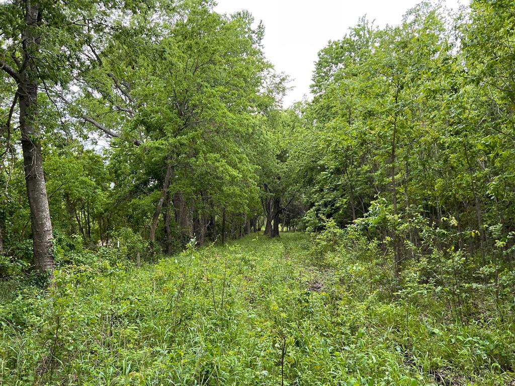 24200 County Road  Roxton TX 75477 photo