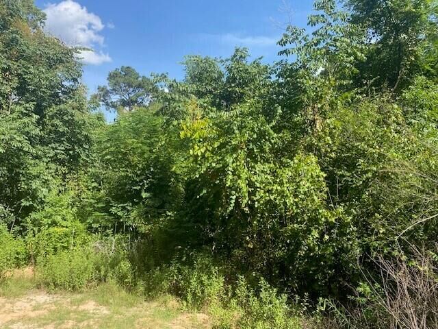 Property Photo:  352 Wolf Hill  LA 71439 