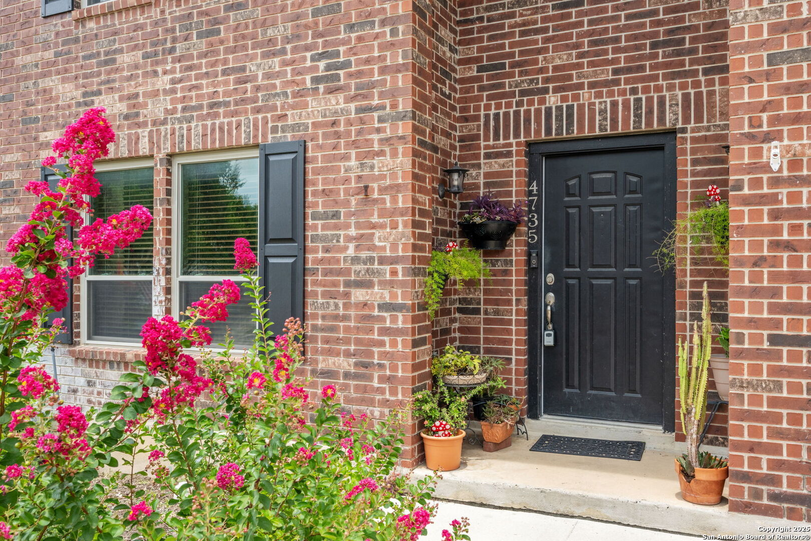 Property Photo:  4735 Irish Oak  TX 78247 