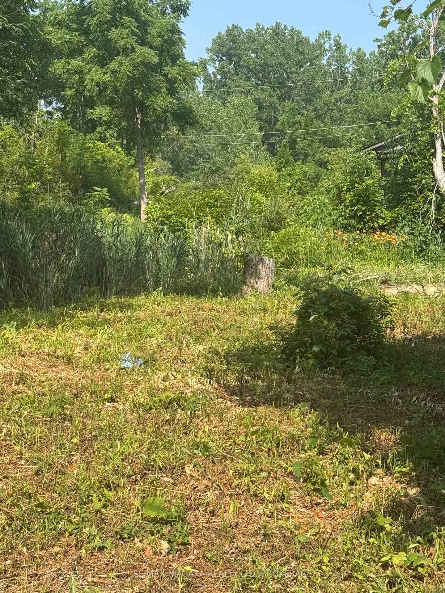 Property Photo:  4280 Fifth Avenue  ON L2E 4R2 