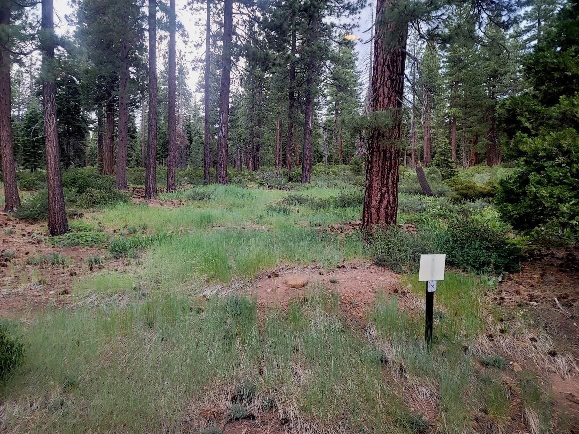 Property Photo:  8651 Speckled Avenue  CA 96143-0000 