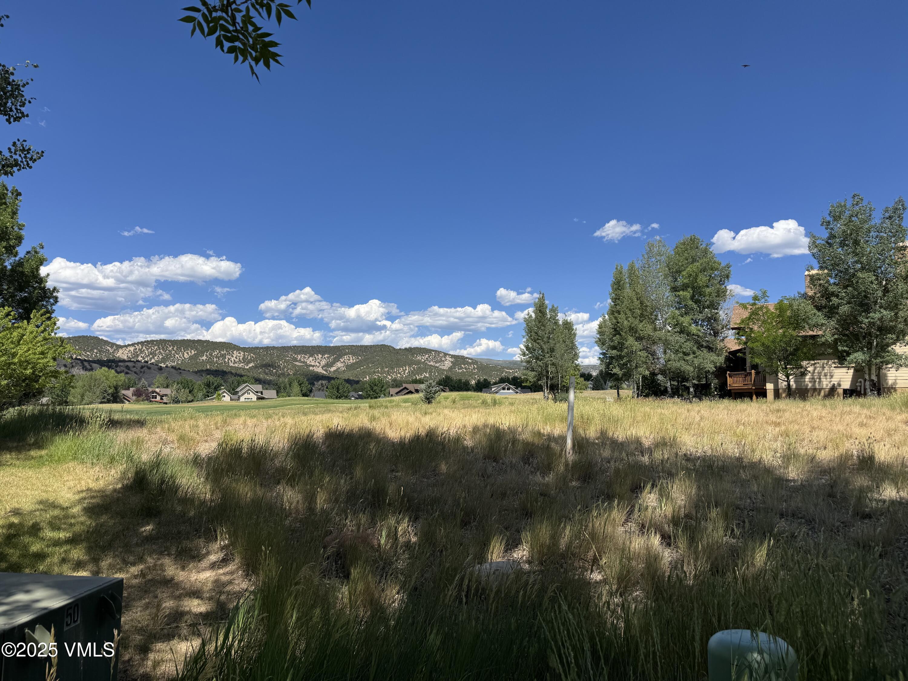 Property Photo:  13 Sawmill Circle  CO 81631 