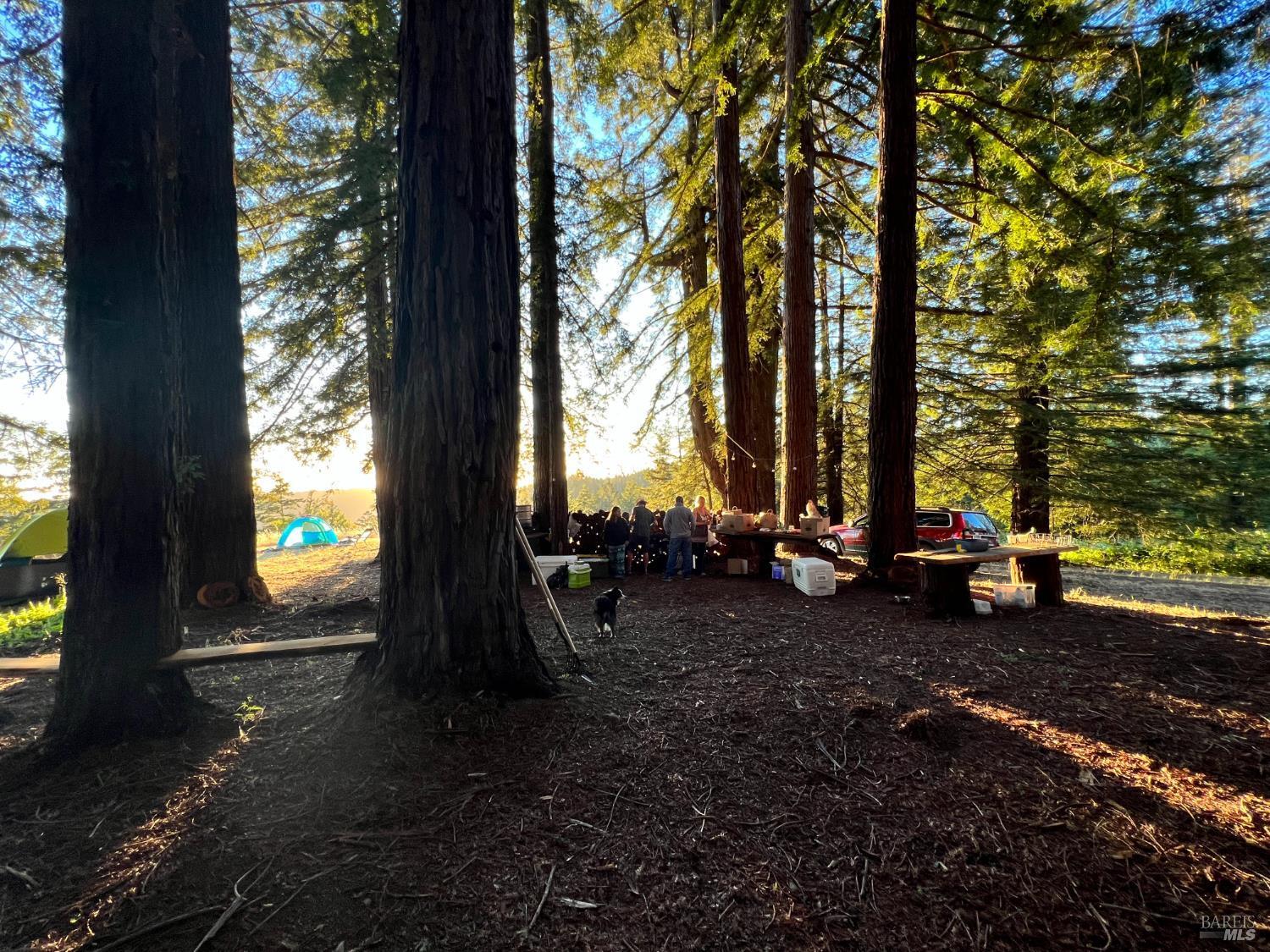 Property Photo: 31010 Stewarts Point-Skaggs Springs Road CA 95497