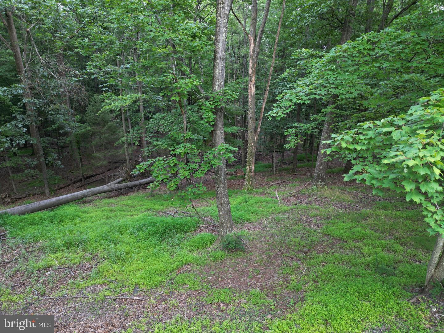Property Photo: 494 Cayuga Trail WV 25427