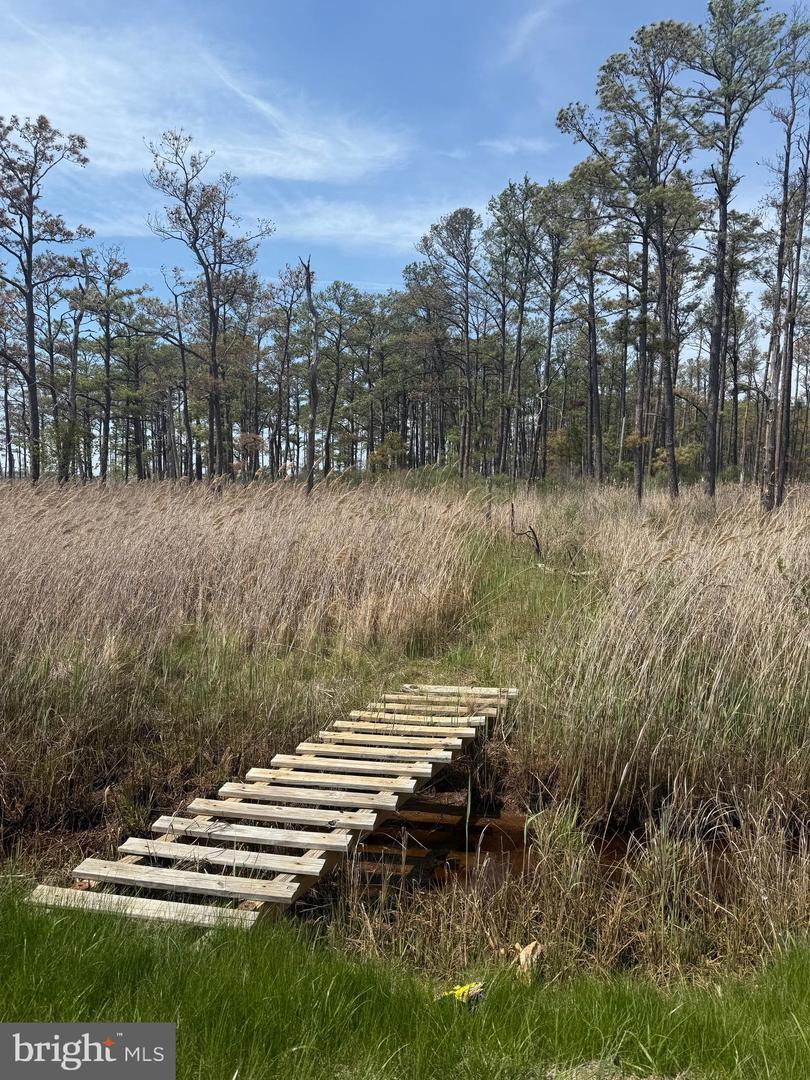 Property Photo: N/S Route 16 - Taylors Island Road MD 21648