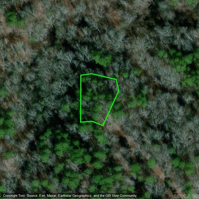 Property Photo: Lot 7 Block 8 Segador Way AR 71909