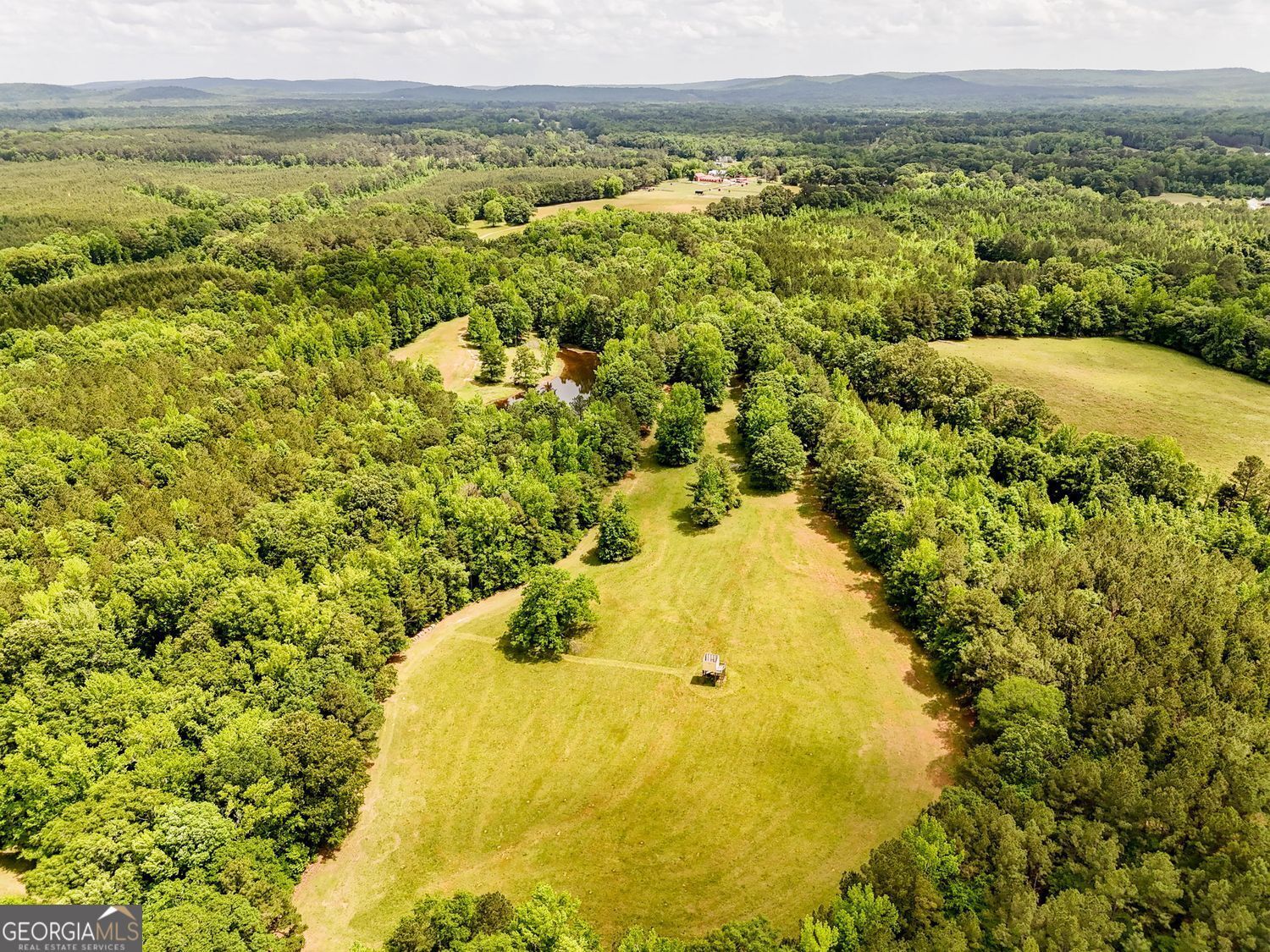 Property Photo:  102 +/- Acres - Old Zebulon Road  GA 30258 