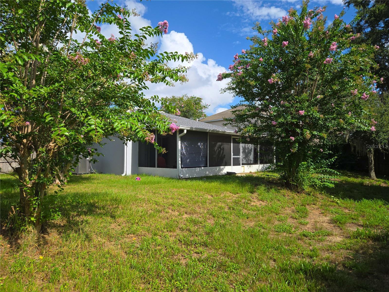 Property Photo: 241 Winding Cove Avenue FL 32703
