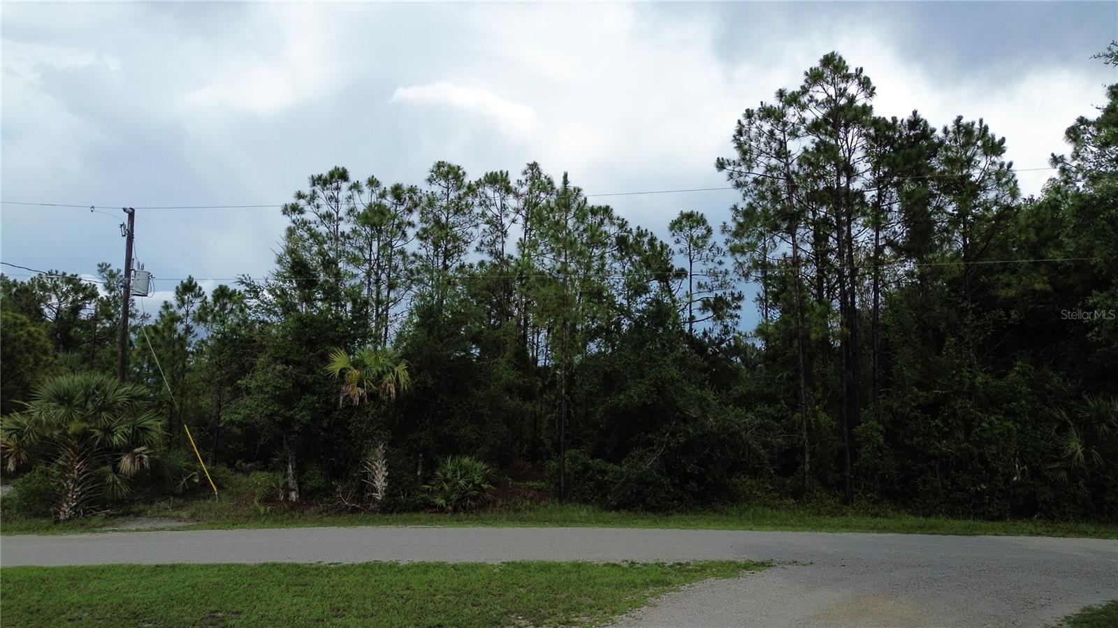 Property Photo: 12198 Del Rio Drive FL 33955