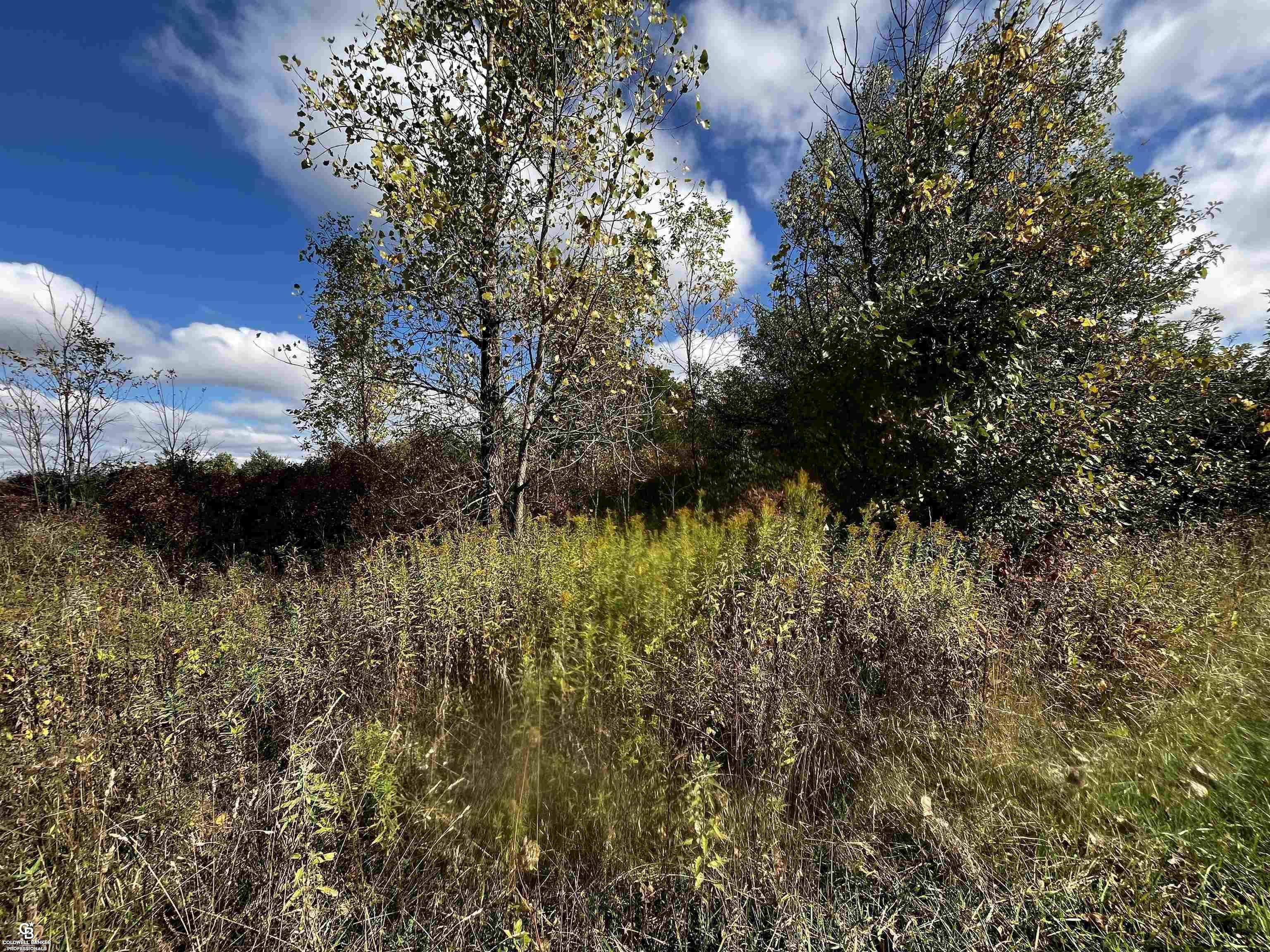 Property Photo: 12274 Griffin Road MI 48041