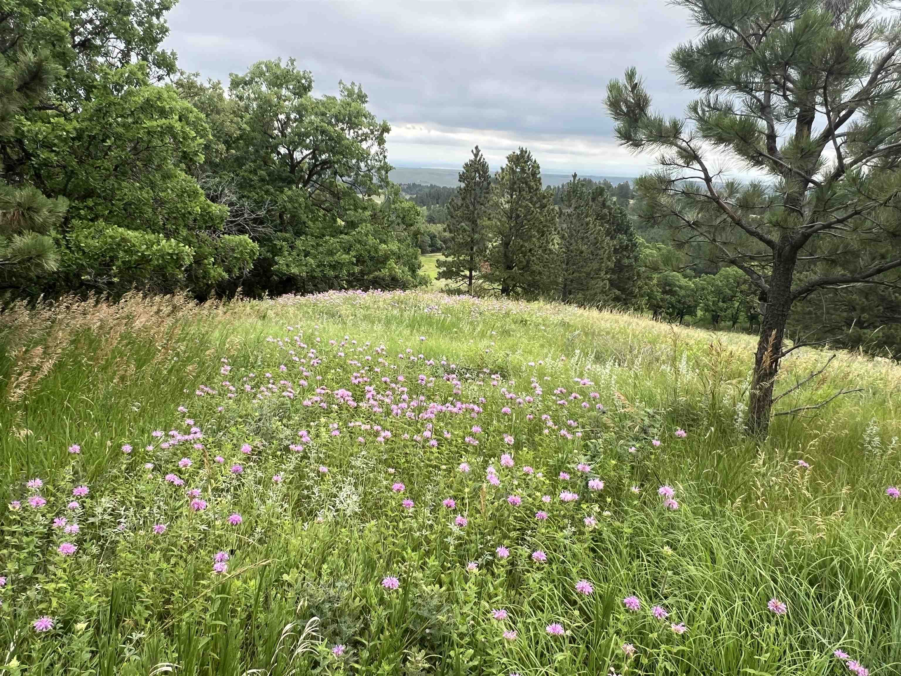 Property Photo: Lot 30 Summit Pass SD 57793