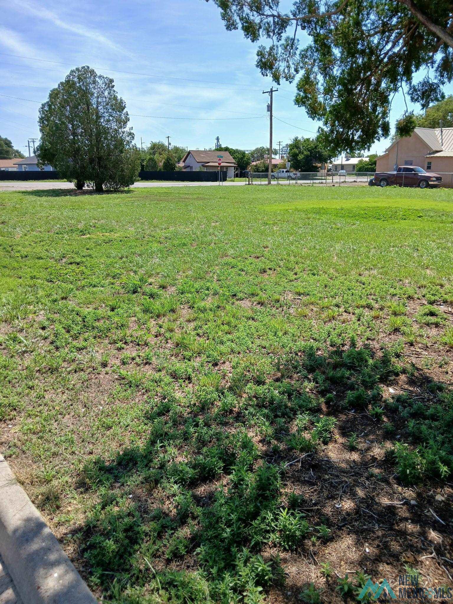 Property Photo:  413 N Main Street  NM 88130 