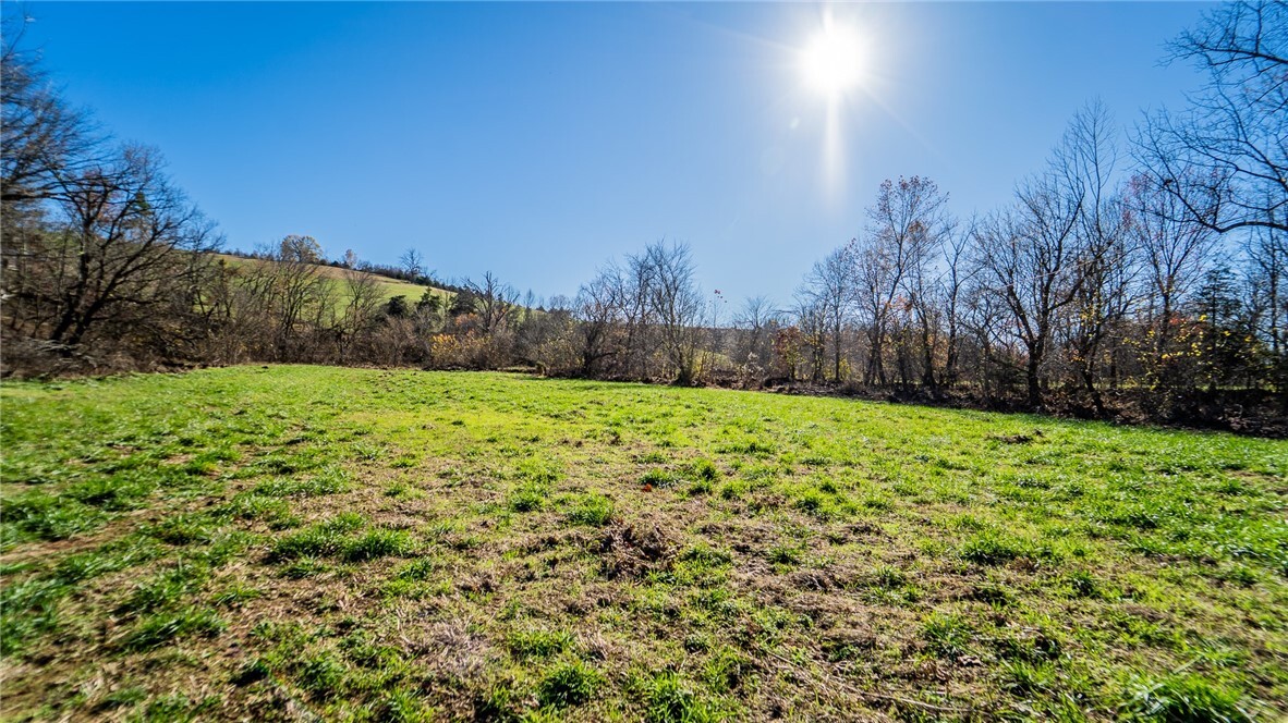 Property Photo:  25+/- Acres Madison 8388  AR 72740 