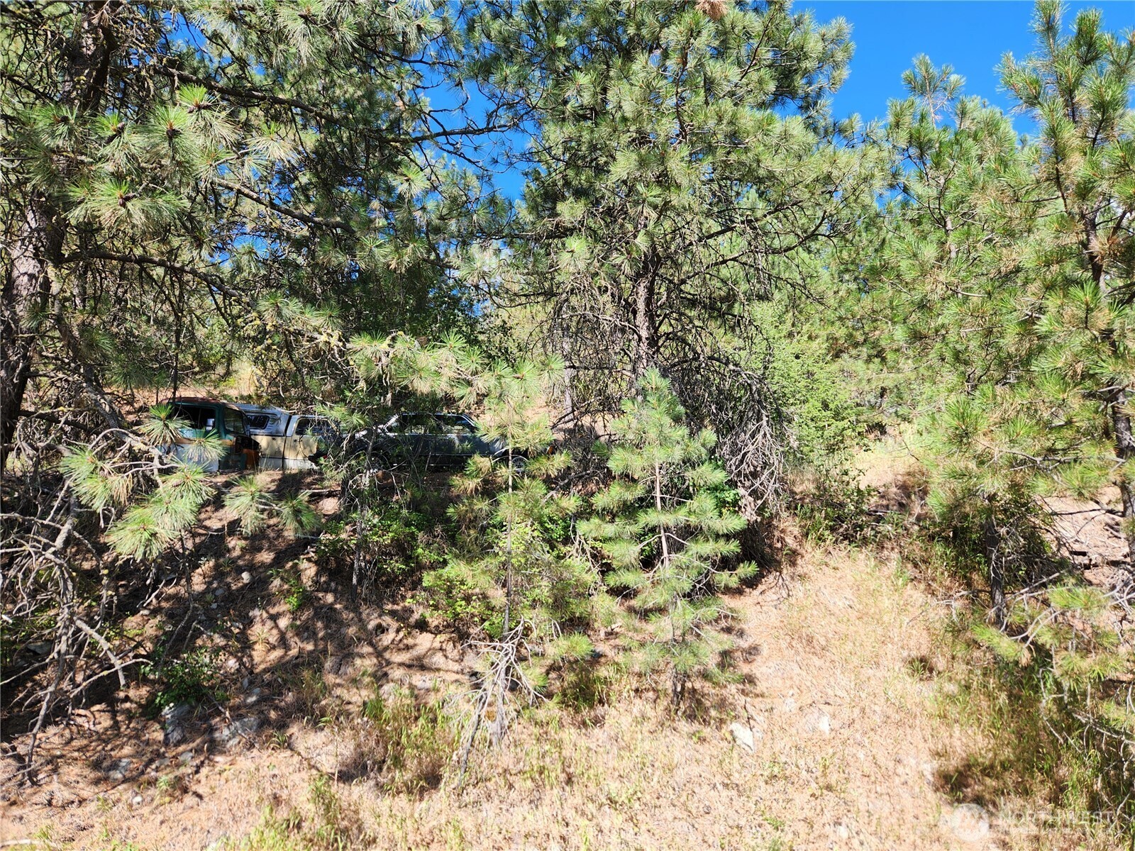 Property Photo:  0 Lot 1  Klondike Road  WA 99166 