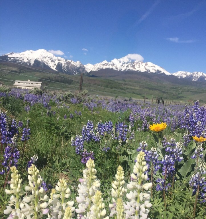 1703 Elk Run Road  Silverthorne CO 80498 photo