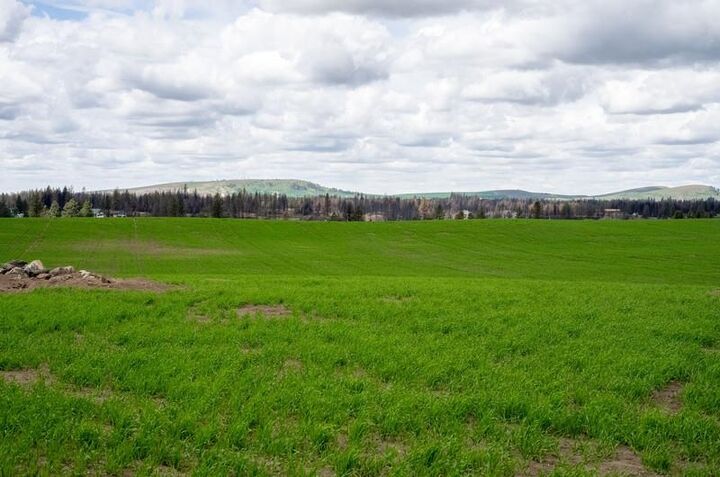 Property Photo:  Nka Lambridge Lane Lot 4 Ln  WA 99022 