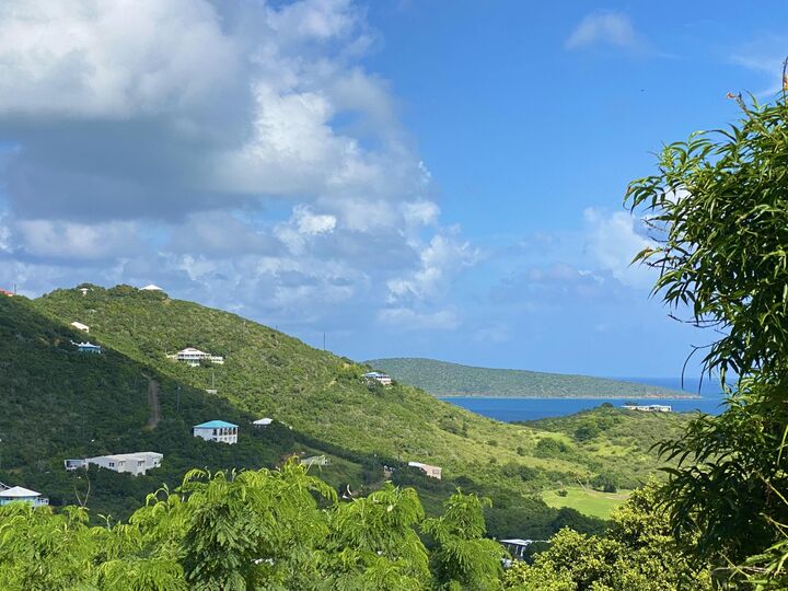 Property Photo: 33,34,35 Catherines Hope Eb VI 00820