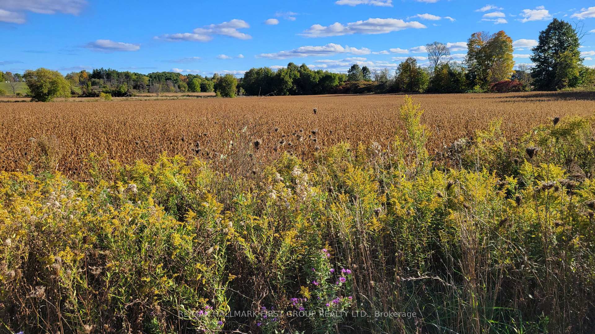 Property Photo:  Part 3 Highway 7 N/A  ON K0K 2K0 