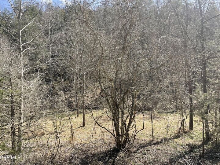Property Photo:  1028 East Pumpkin Valley Road  TN 37731 