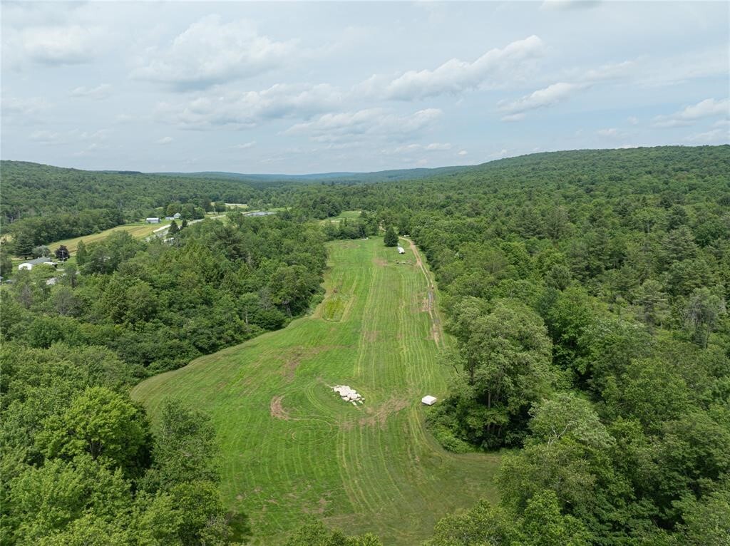 Property Photo: 164 County Road 8 NY 13801