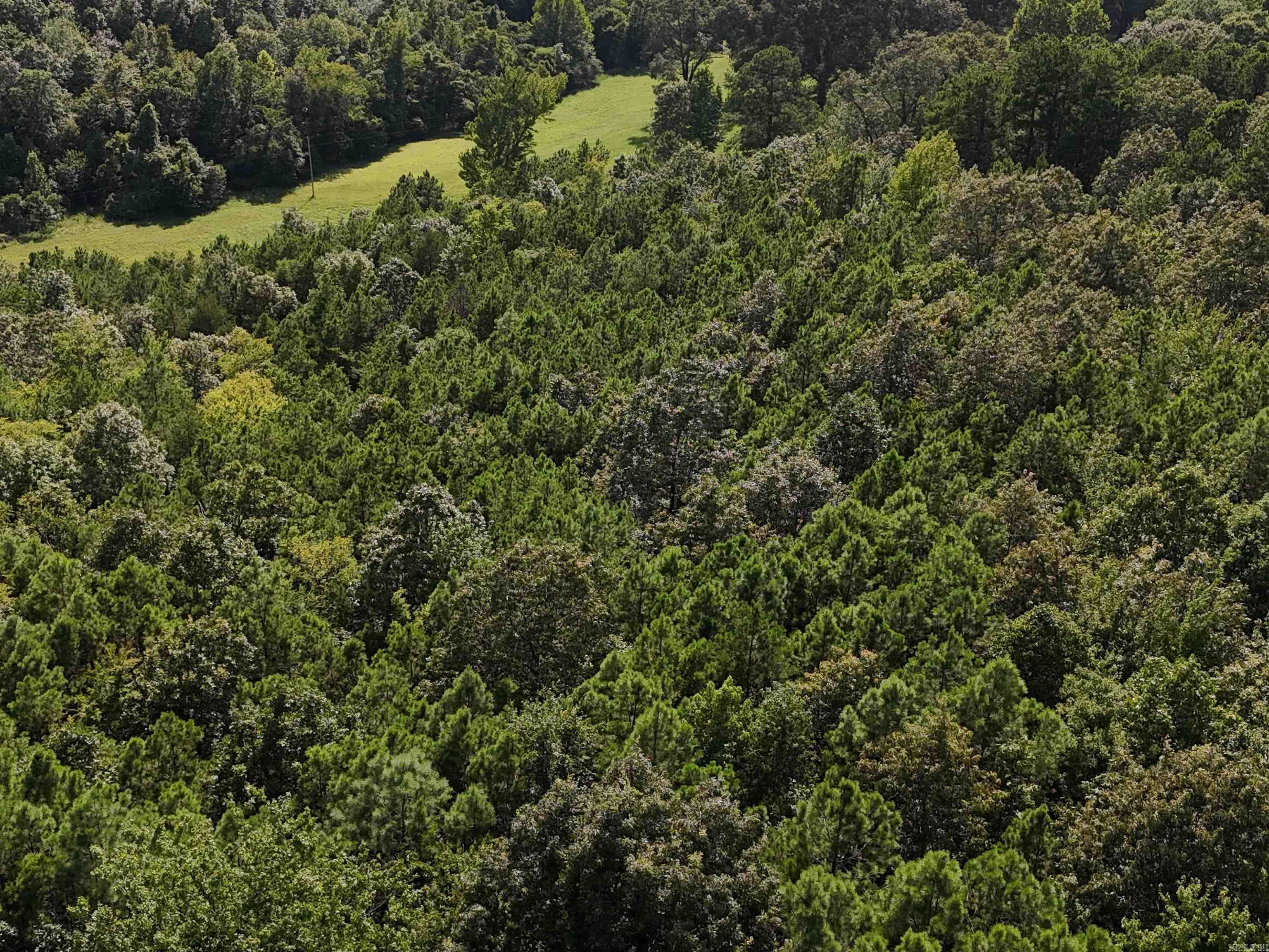 Property Photo:  Lot 1 Polk Road 78  AR 71953 