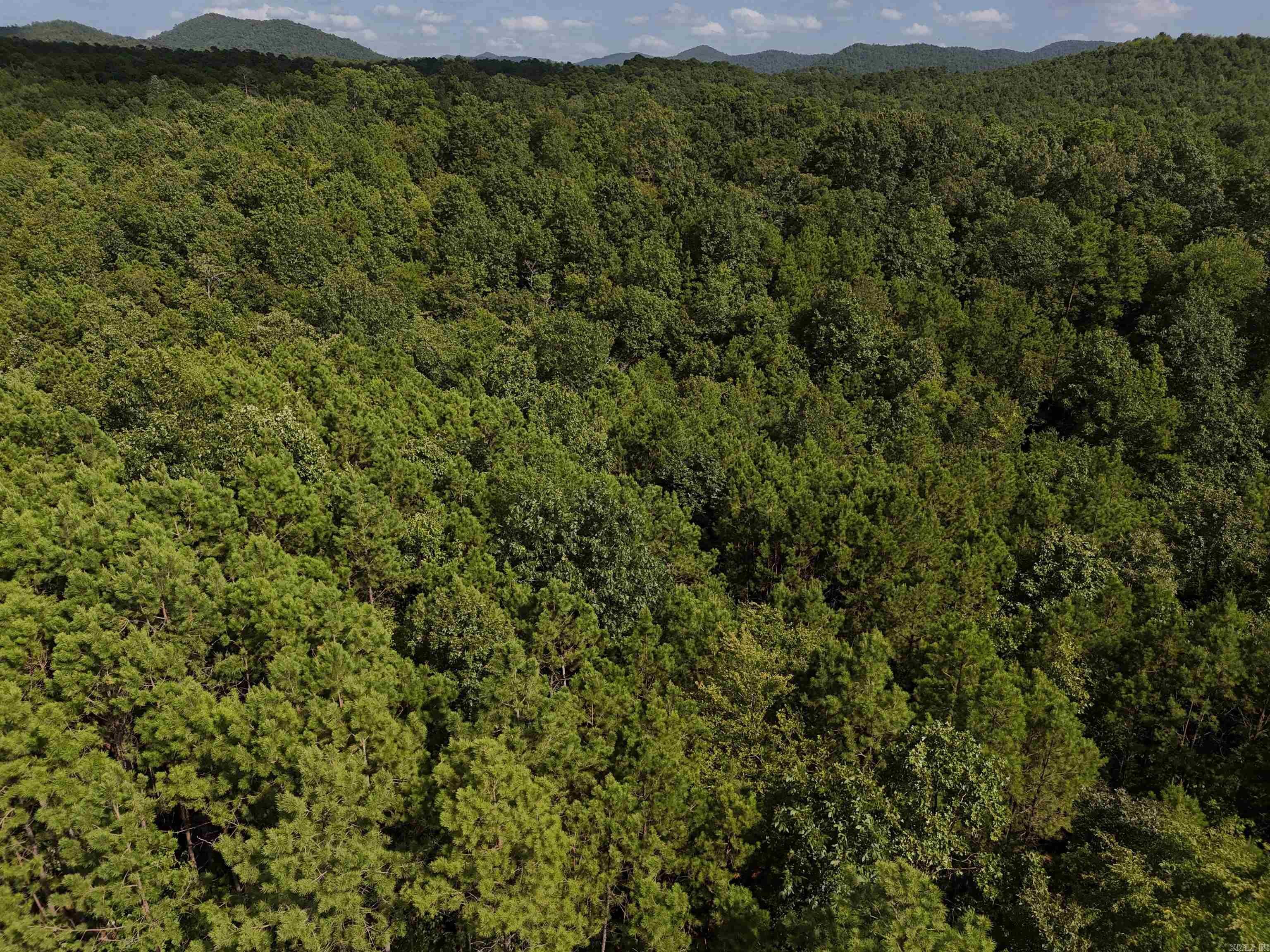Property Photo:  Lot 4 Polk Road 78  AR 71953 