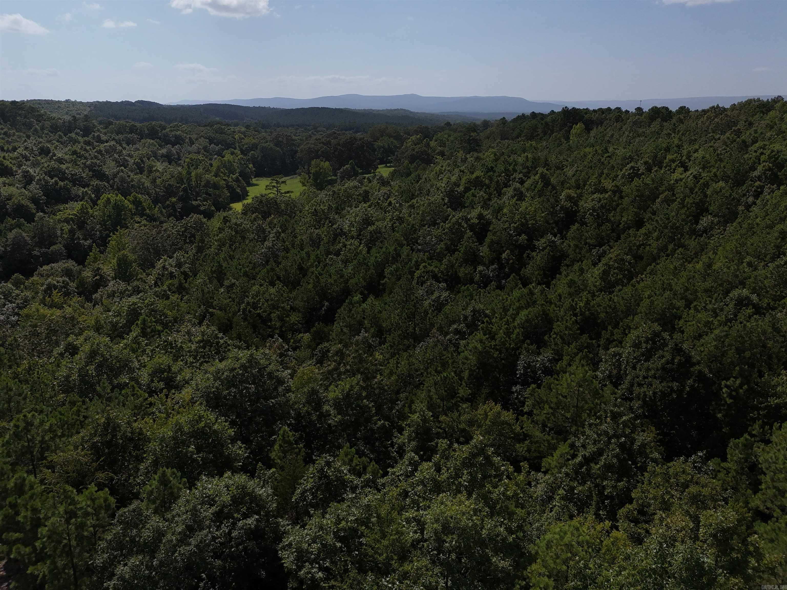 Property Photo:  Lot 2 Polk Road 78  AR 71953 