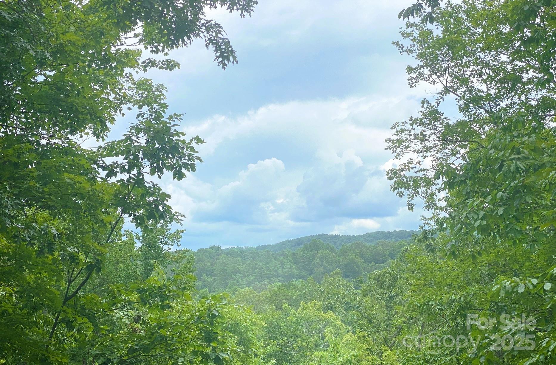 Property Photo: 590 Raven Boulevard NC 28746