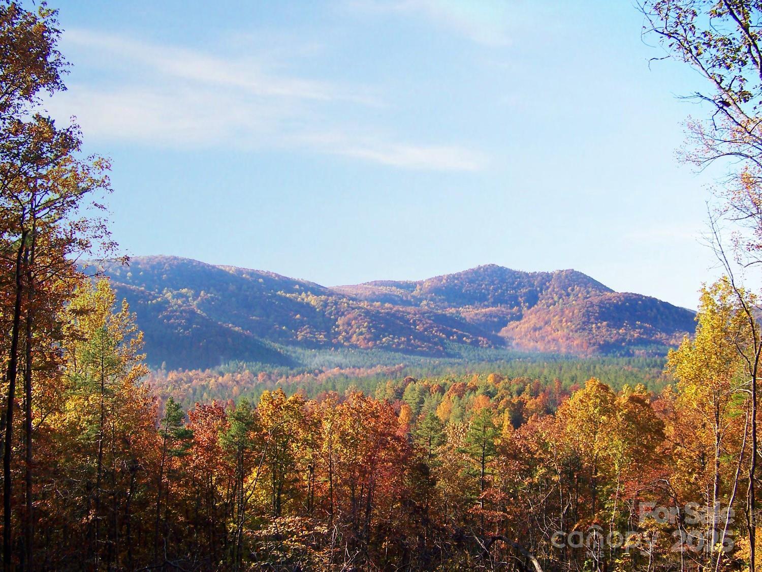 Lot 332 Scenic Vista Drive 332  Nebo NC 28761 photo