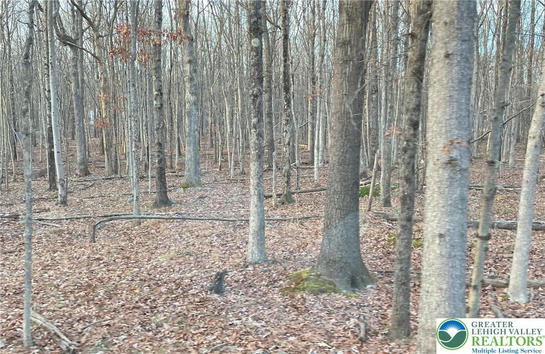 Property Photo: 6 Occonquan Trail 1723 PA 18210
