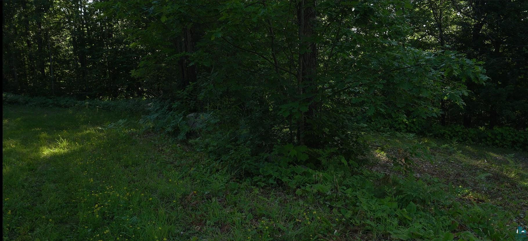 Property Photo: 83xxx Ashwabay Heights Rd Lot 13 WI 54814