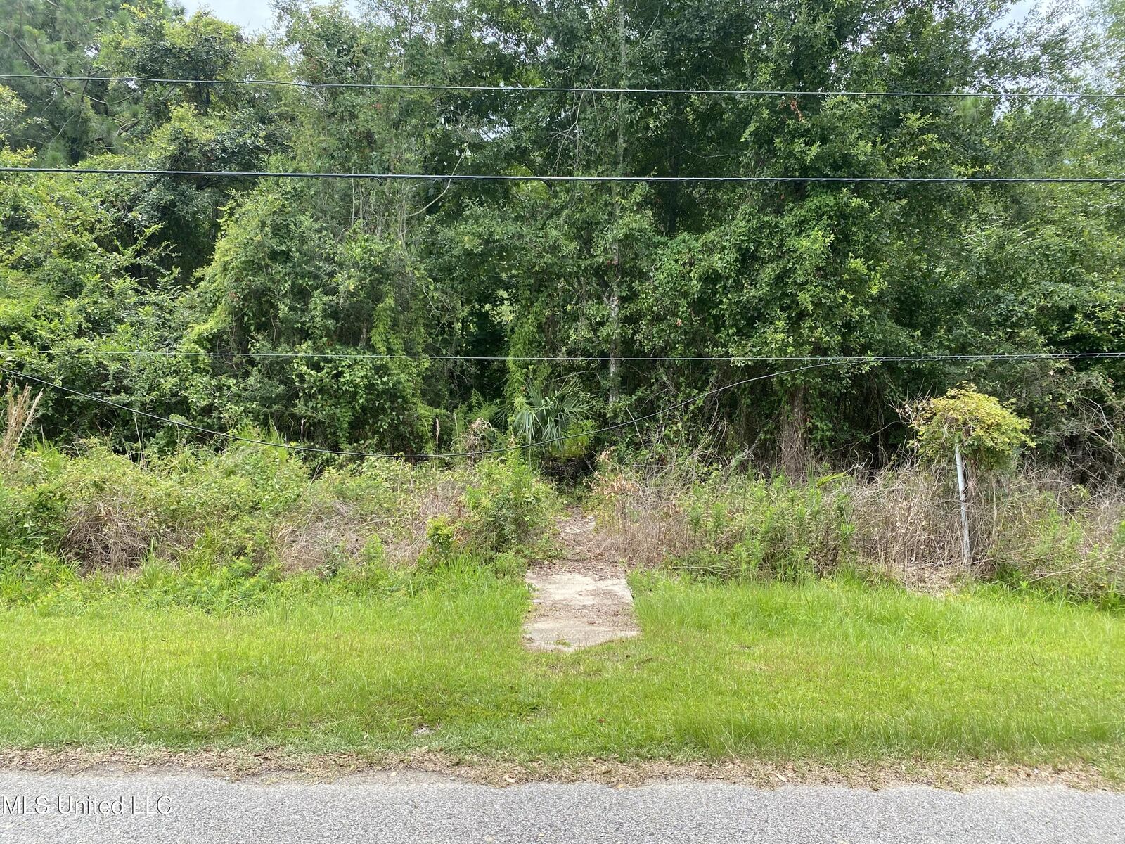 Property Photo:  2055 Bienville Avenue  MS 39520 