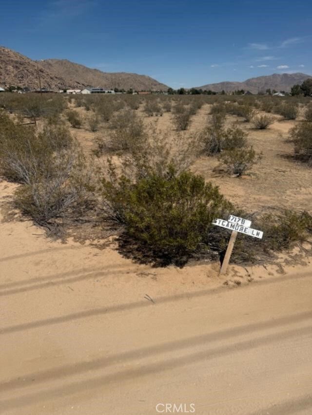Property Photo:  0 Washoan Road  CA 92307 