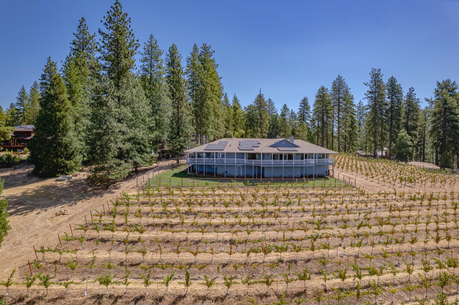 Property Photo: 18591 Ponderosa Hills Rd CA 95689