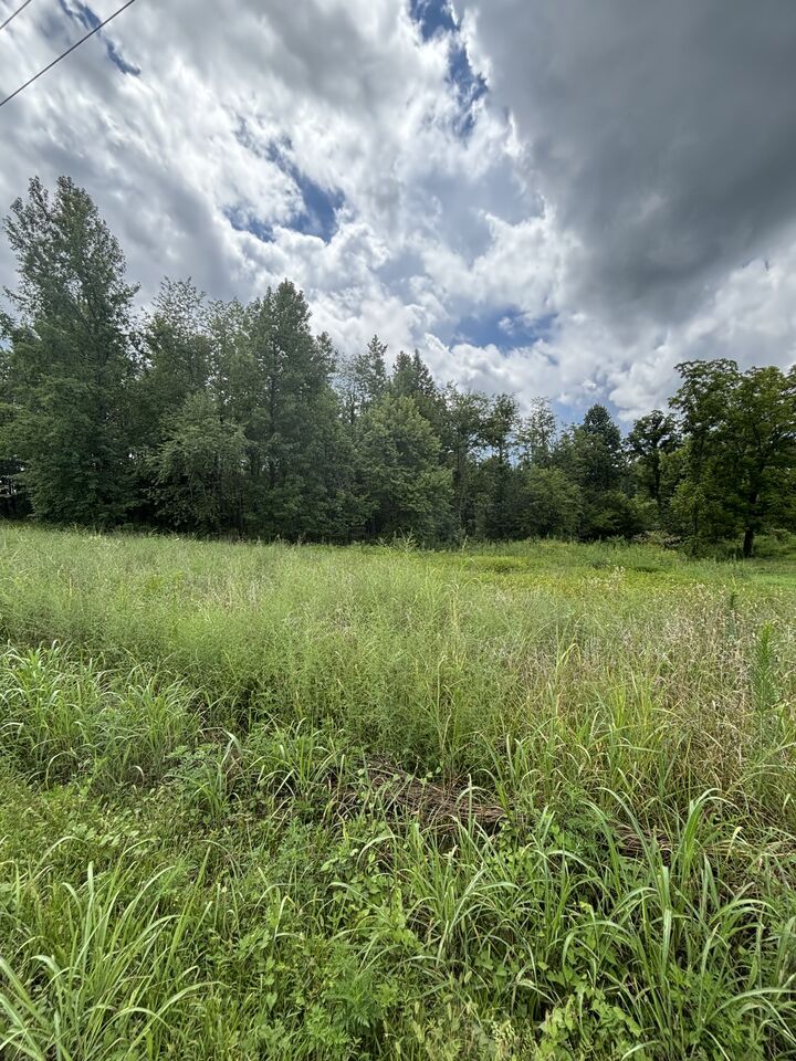 Property Photo:  0 Fredonia Rd  TN 37355 